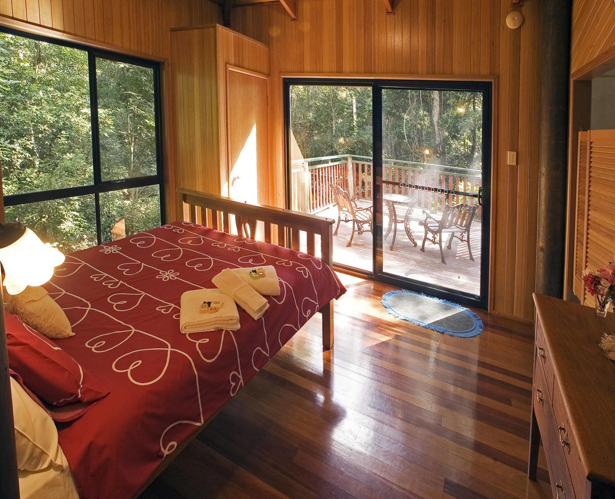 Springbrook Lyrebird Retreat Villa Eksteriør billede