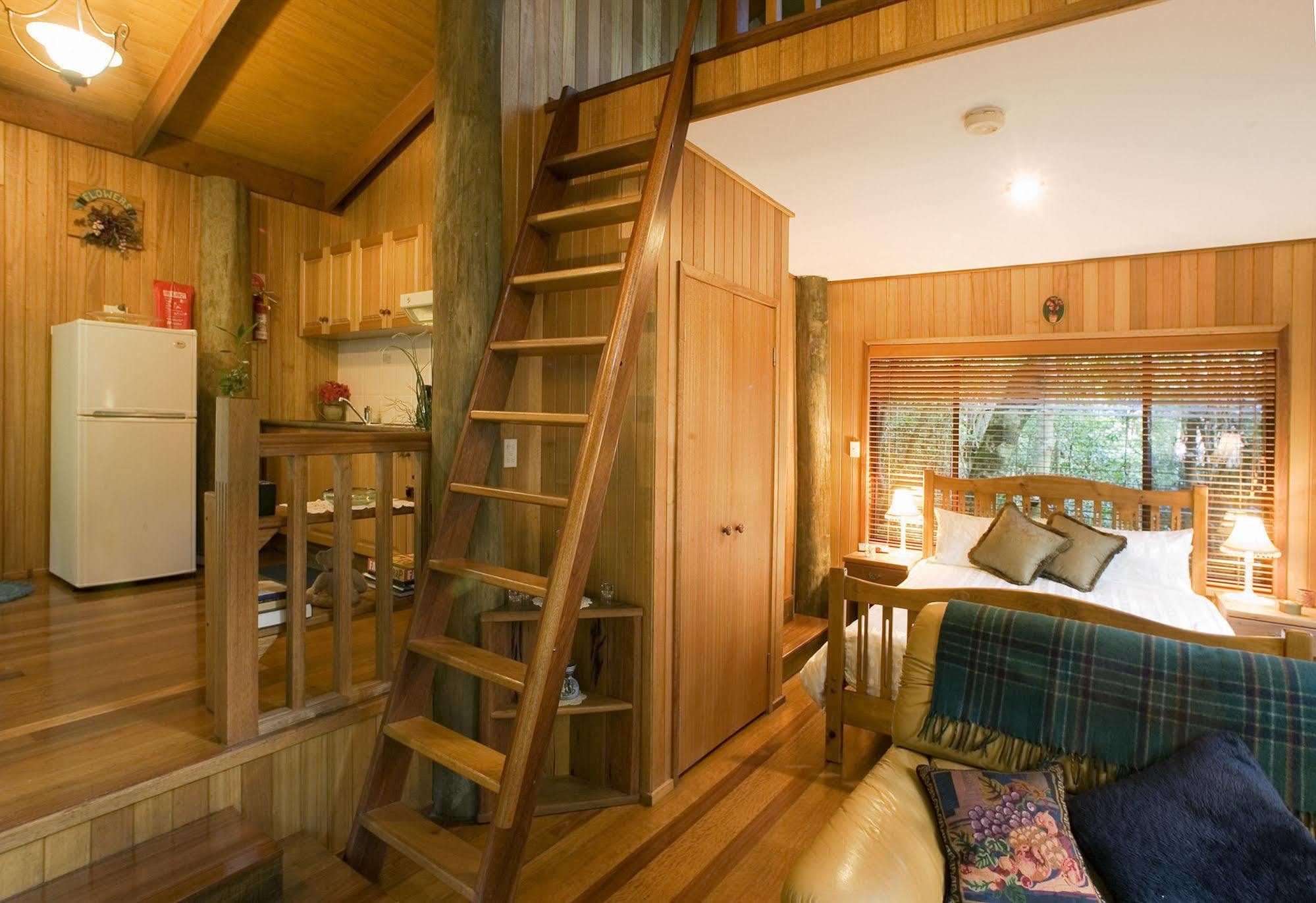 Springbrook Lyrebird Retreat Villa Eksteriør billede