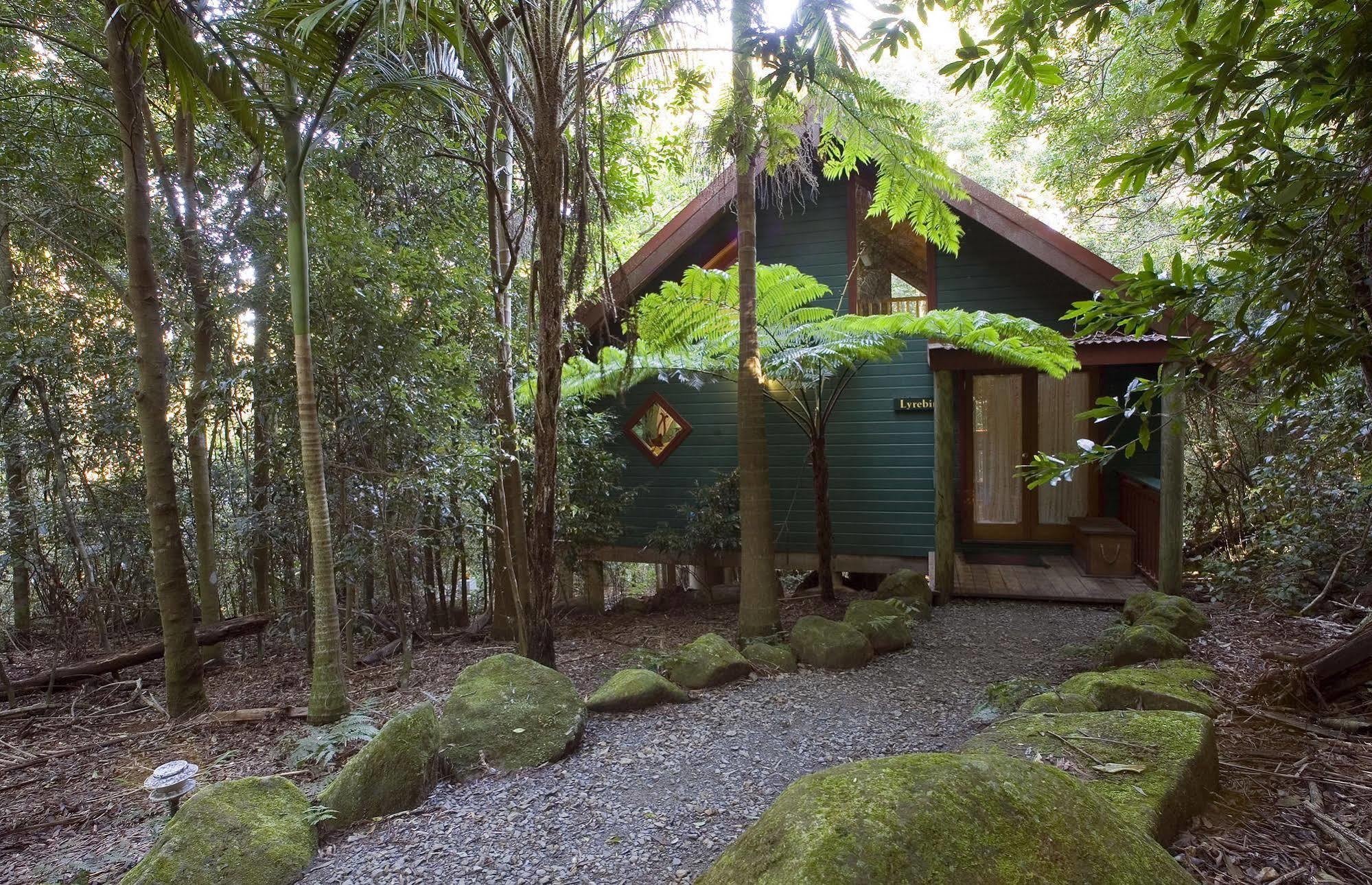 Springbrook Lyrebird Retreat Villa Eksteriør billede