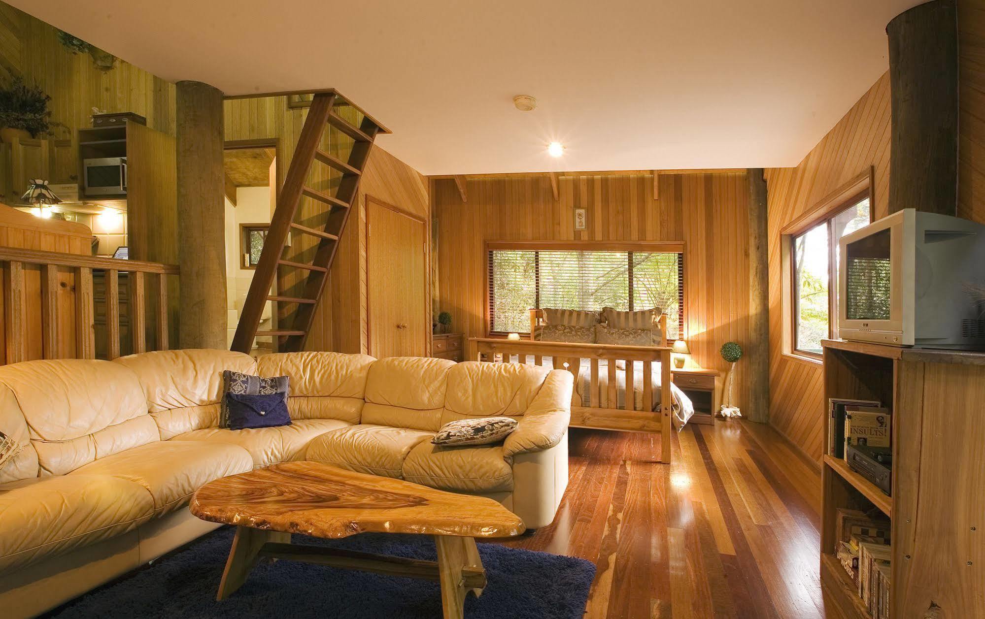 Springbrook Lyrebird Retreat Villa Eksteriør billede